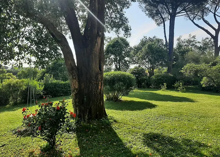 Iv Casale Country *
